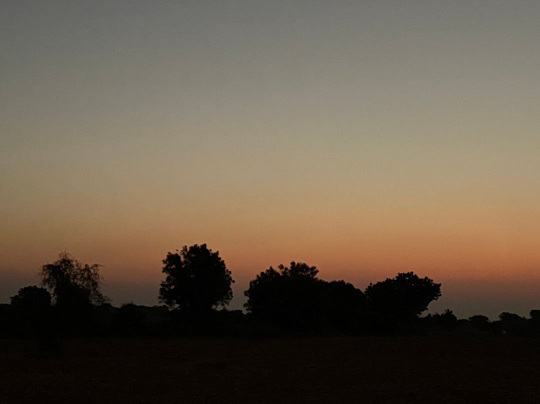 Dholavira Homestay主图