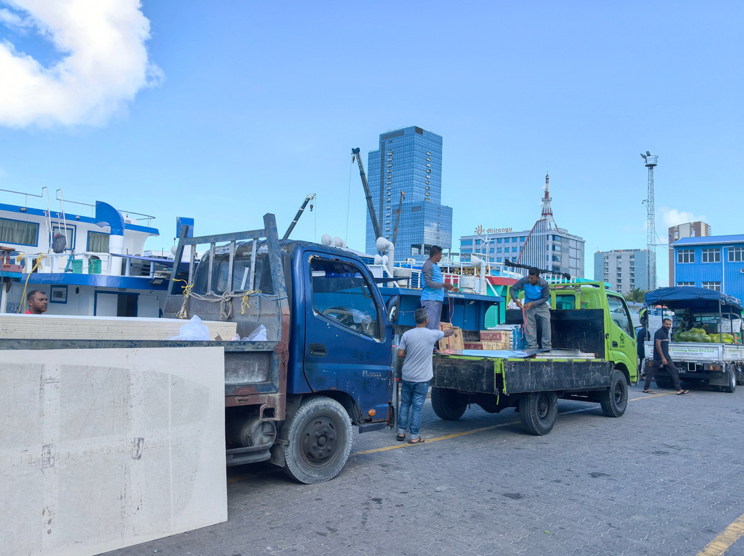 The Port of Malé-马累必去景点