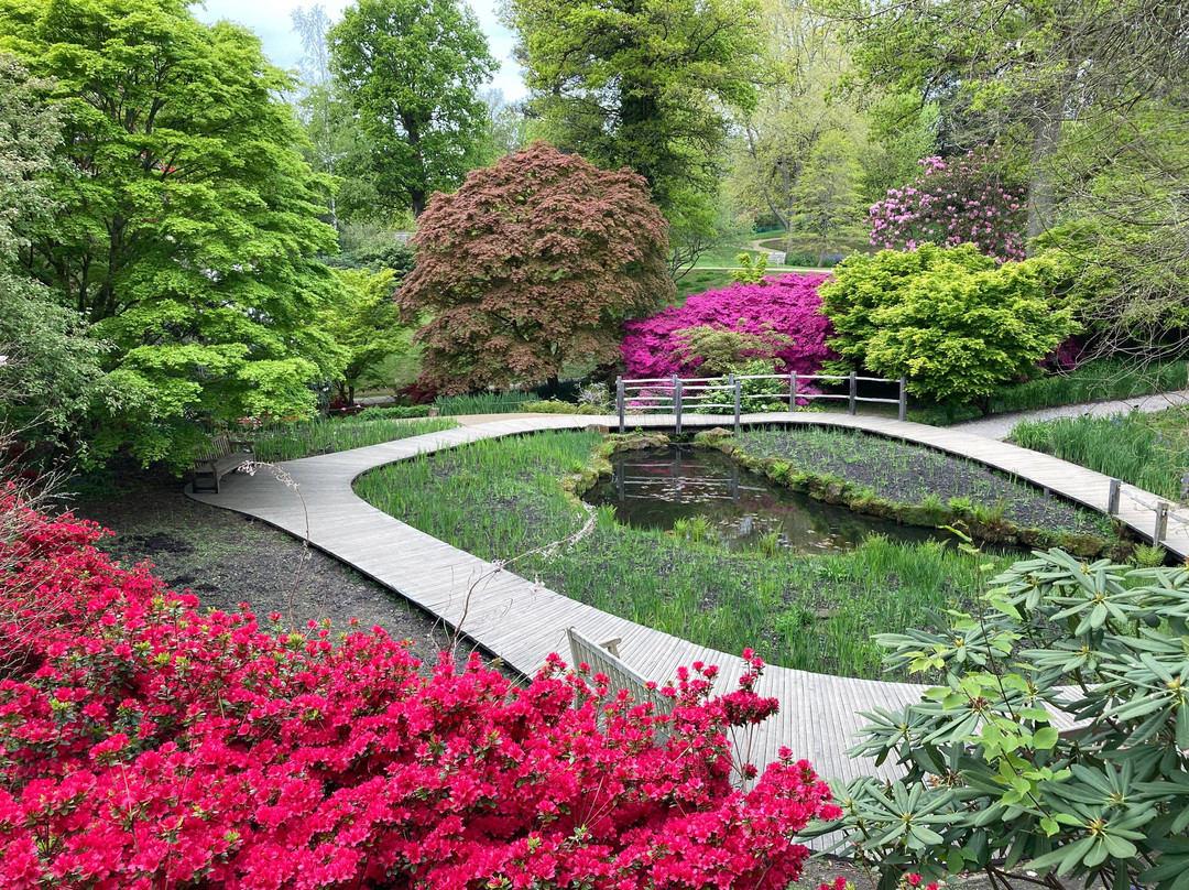 Wakehurst景点图片