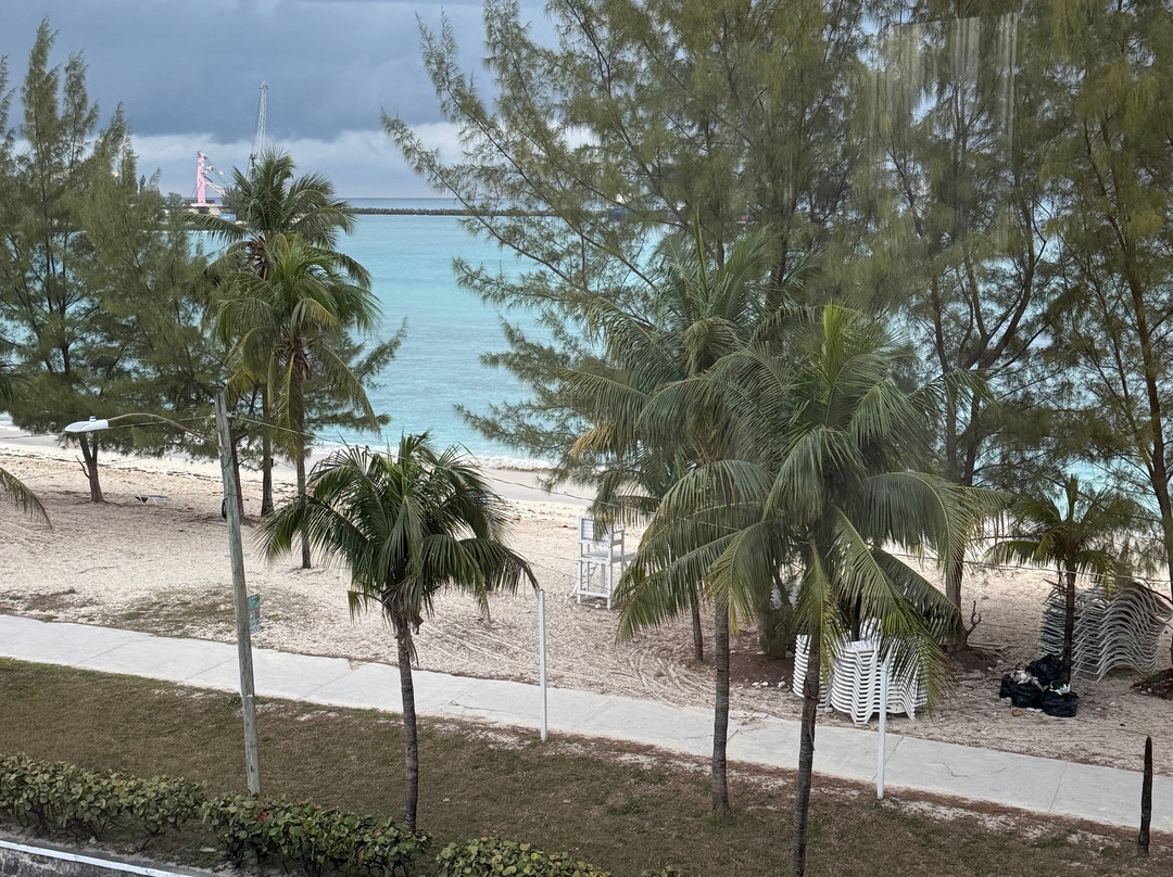 Courtyard by Marriott Nassau Downtown/Junkanoo Beach主图
