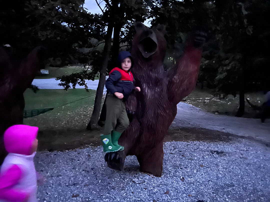 Dinosaur World Transylvania景点图片