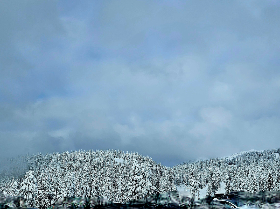 Mt Seymour-北温哥华必去景点