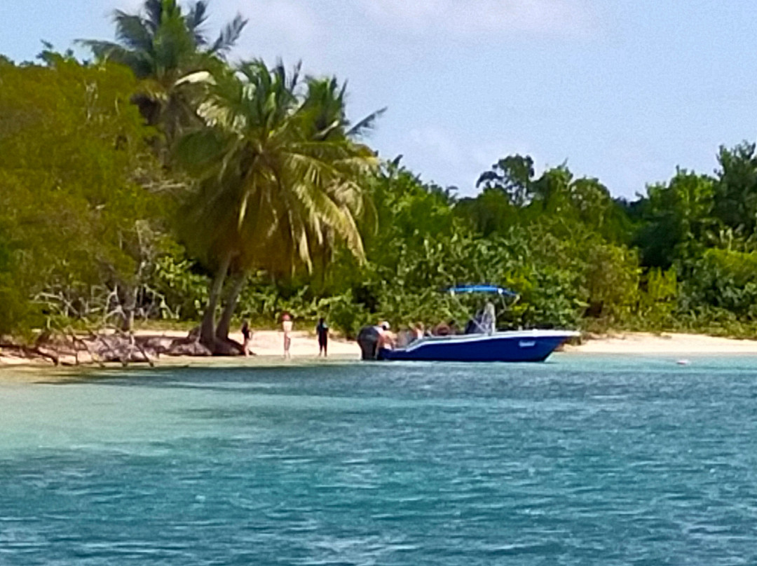 Tropical Boat Guadeloupe景点图片