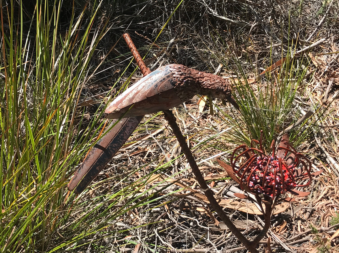 Art Farm Birchs Bay-Birchs Bay必去景点