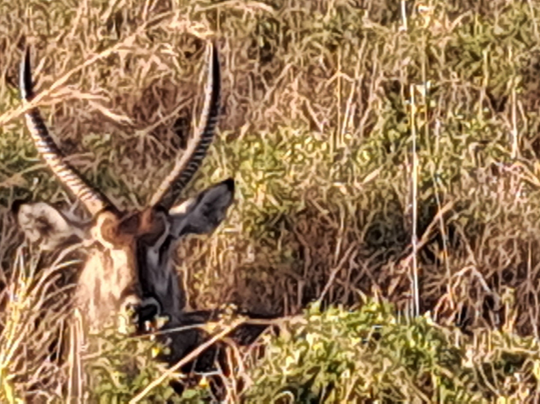 Kidepo Valley National Park-Kitgum必去景点