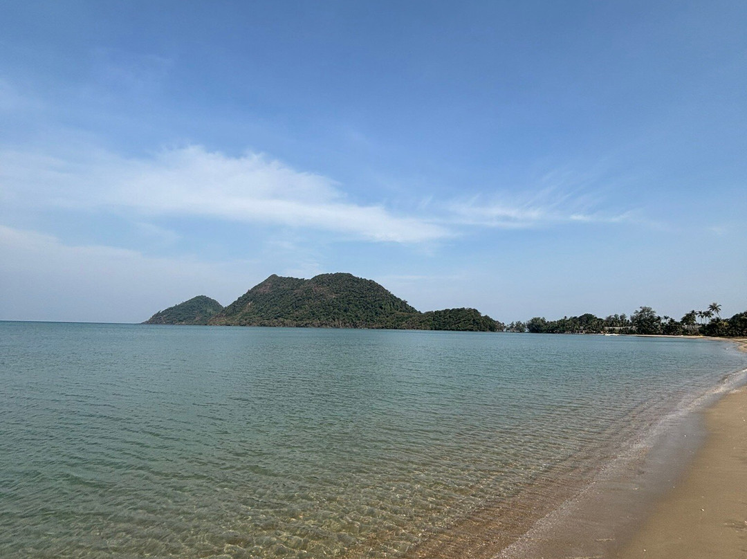 Laguna Beach House主图