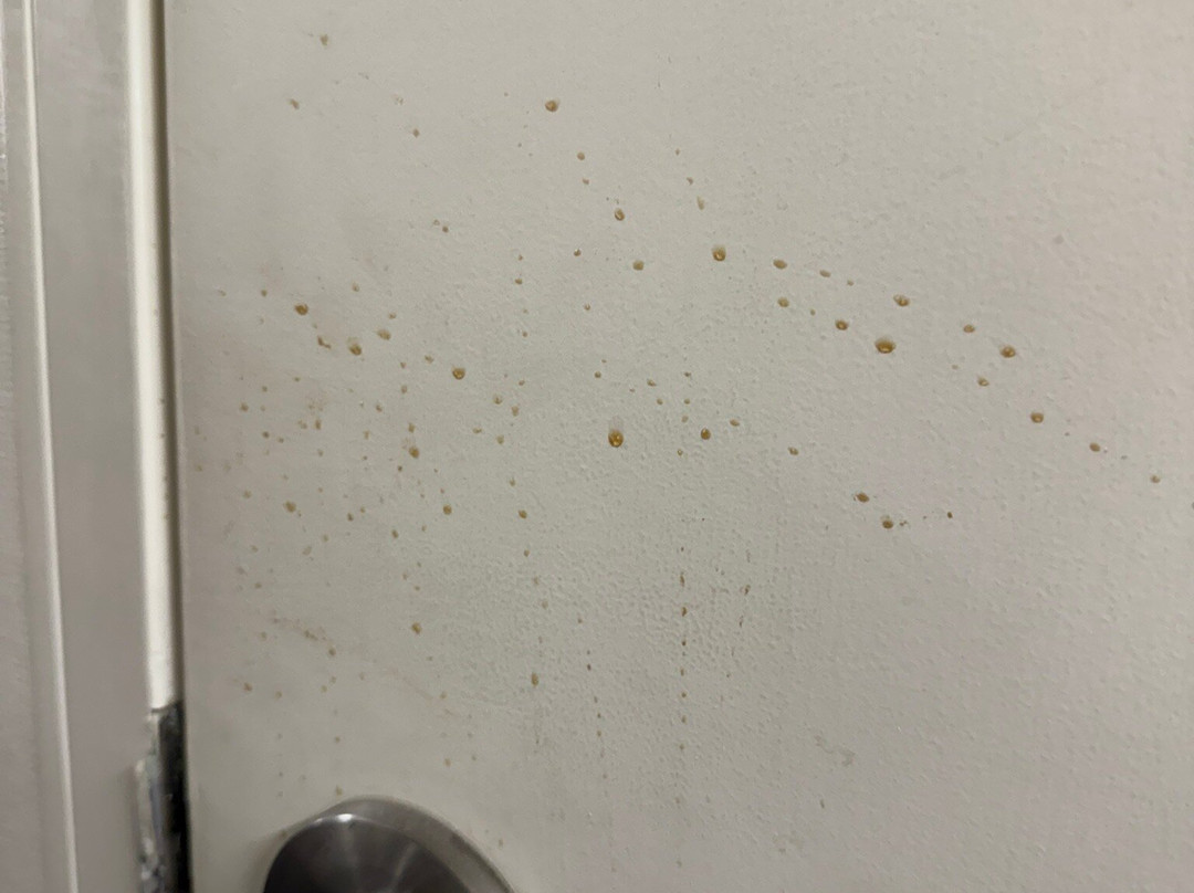 The Summit Apartments主图