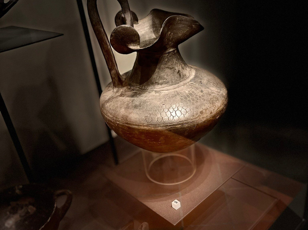 Museo Archeologico Nazionale景点图片