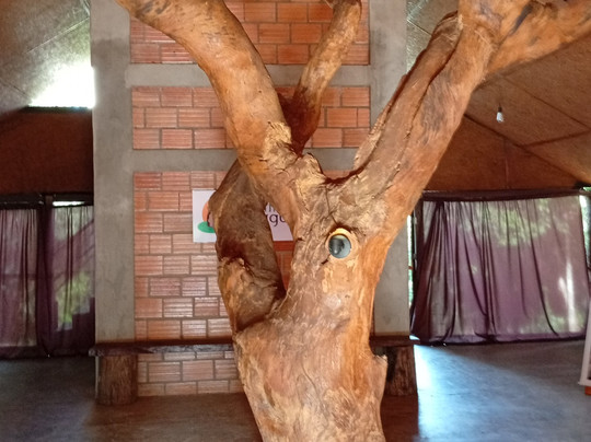 Rppn Canto Do Obrieni-Caseara必去景点