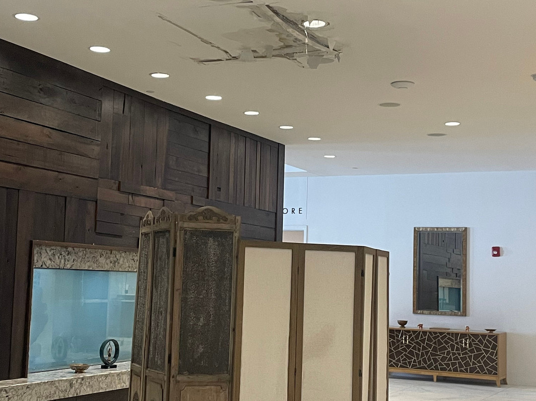 YO1 Longevity & Health Resorts主图