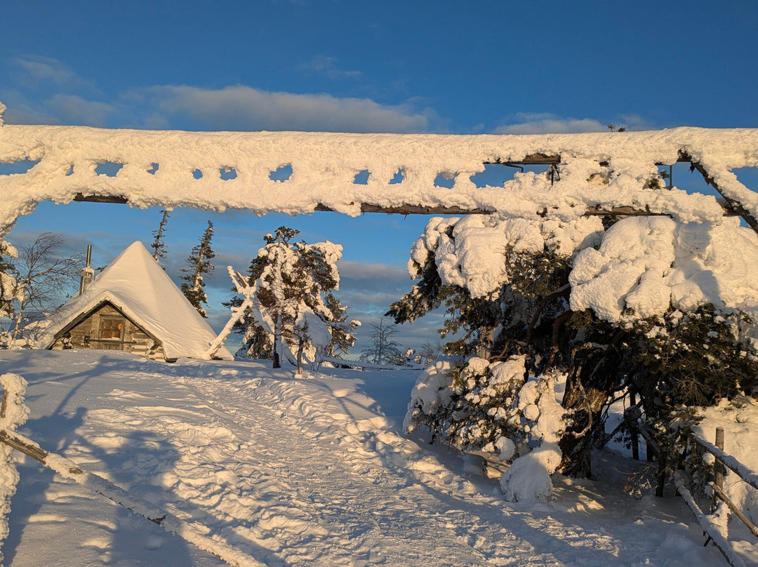 Call of the Wilderness - Activities & Tours-Pyhatunturi必去景点