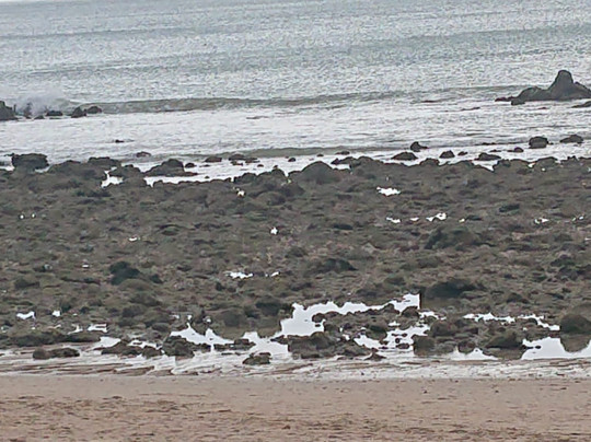 Lanta Casa Blanca主图