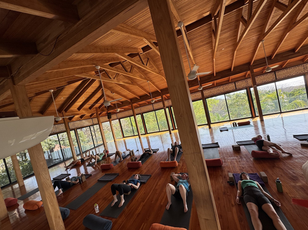 Bodhi Tree Yoga Resort主图
