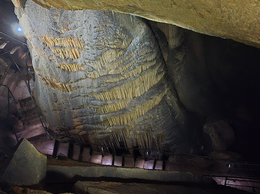 Gunns Plains Caves-Gunns Plains必去景点
