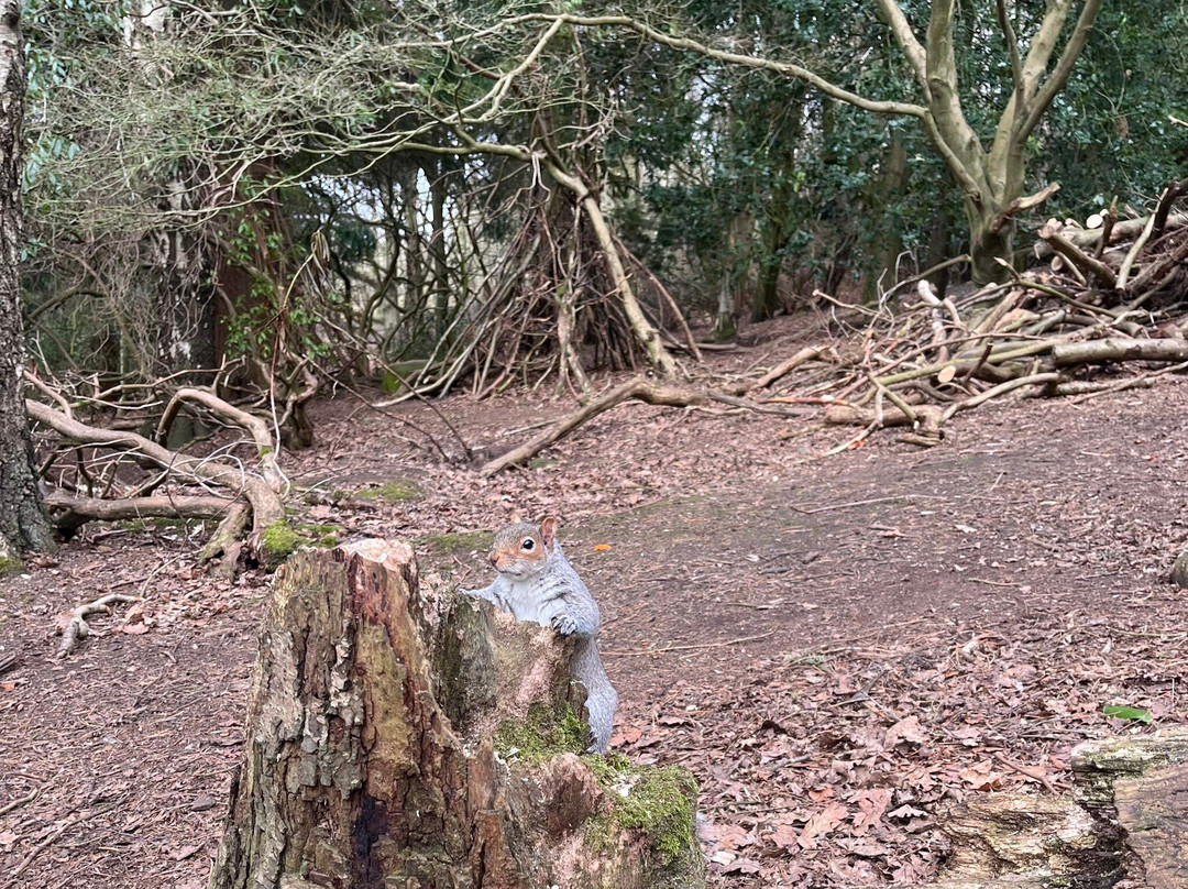 Golden Acre Park景点图片
