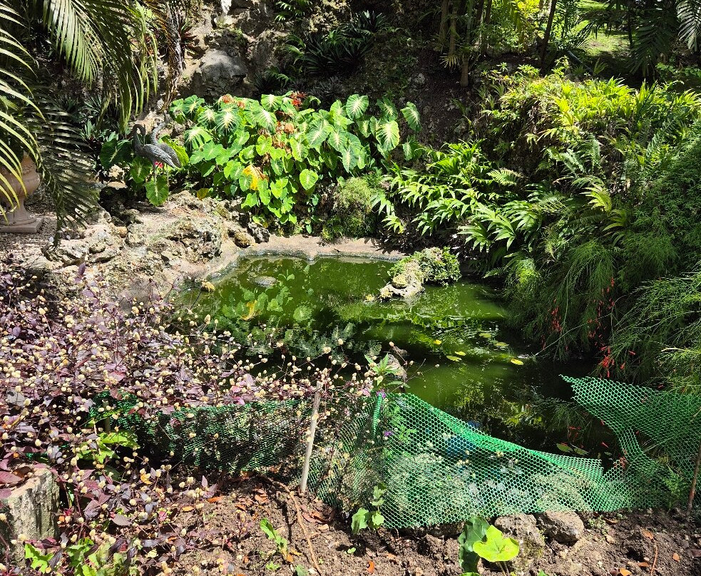 Tropical Garden Barbados-Saint George Parish必去景点