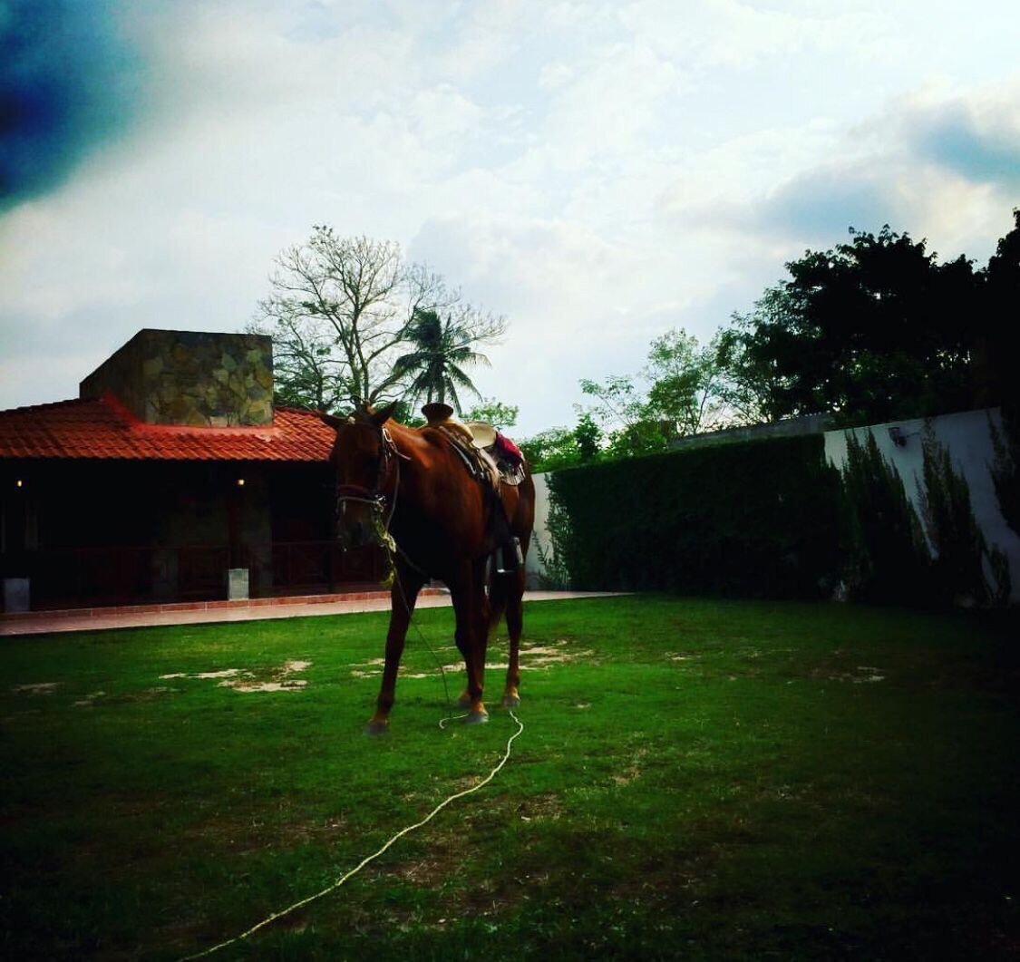 Estancia Ecologica Los Fundadores-浴室