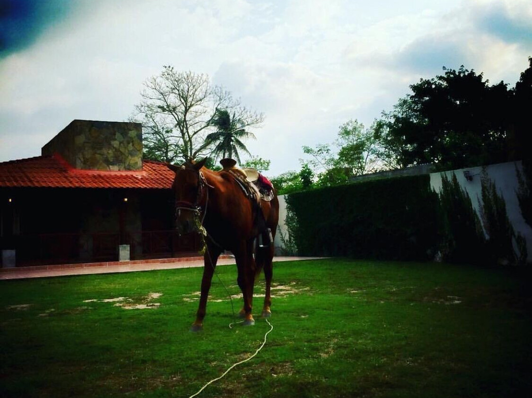 Estancia Ecologica Los Fundadores主图