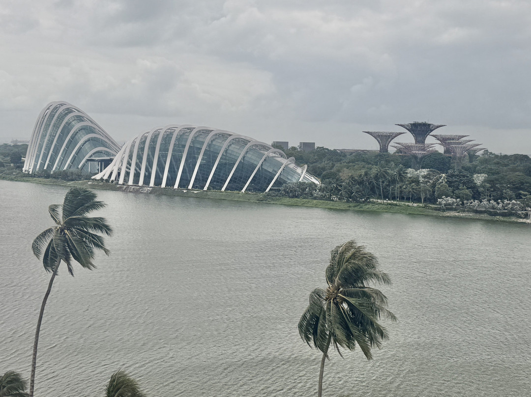 Hello Singapore-新加坡必去景点