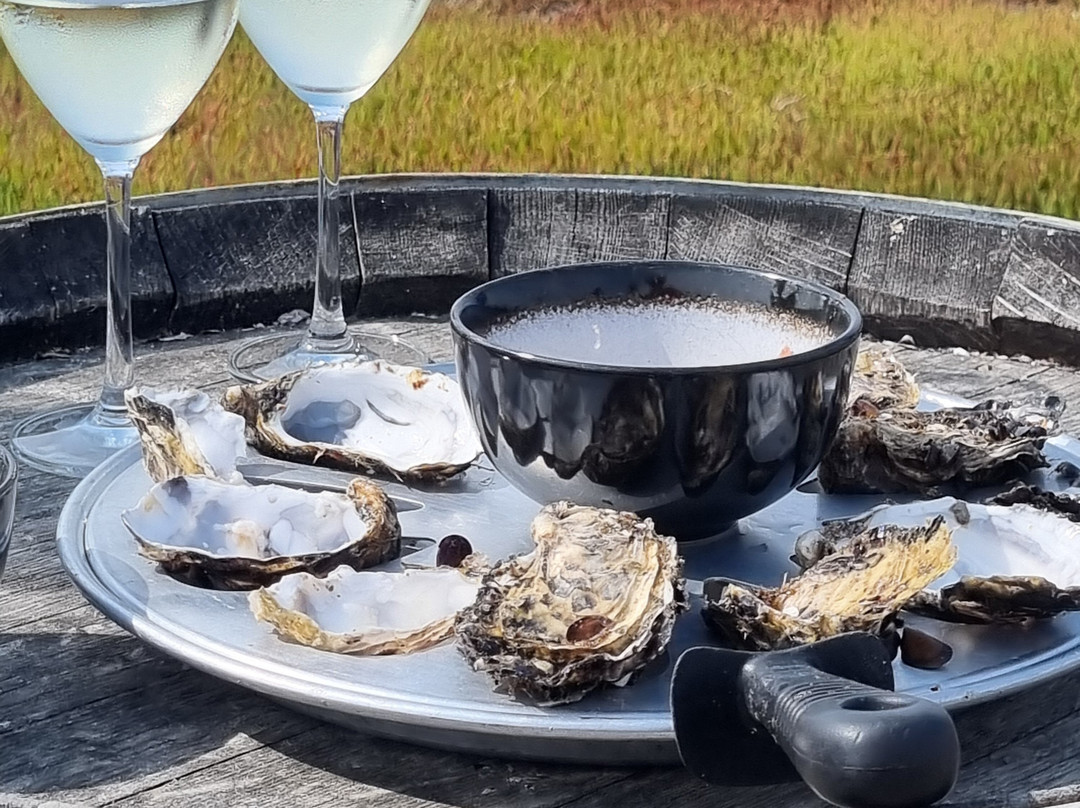 Oyster Bay Tours-科尔斯湾必去景点