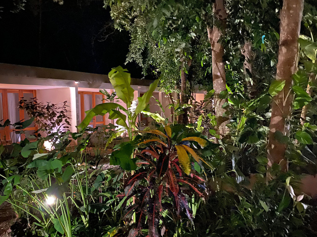 Cetro Hotel Boutique主图