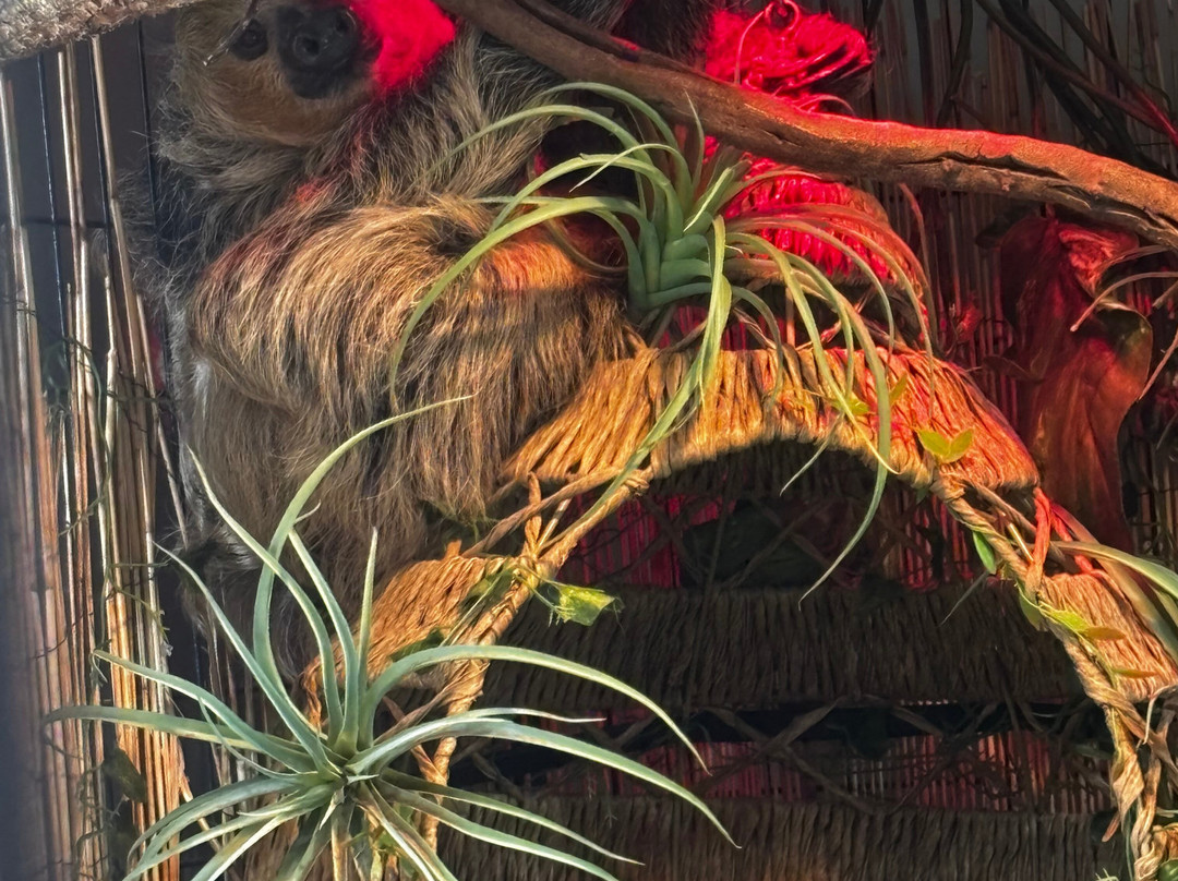 North Florida Wildlife Center景点图片