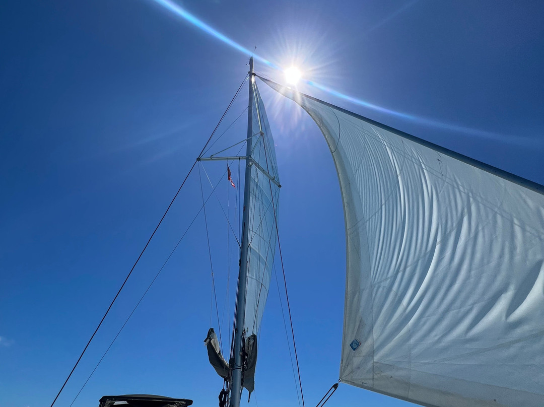TMM Yacht Charters景点图片