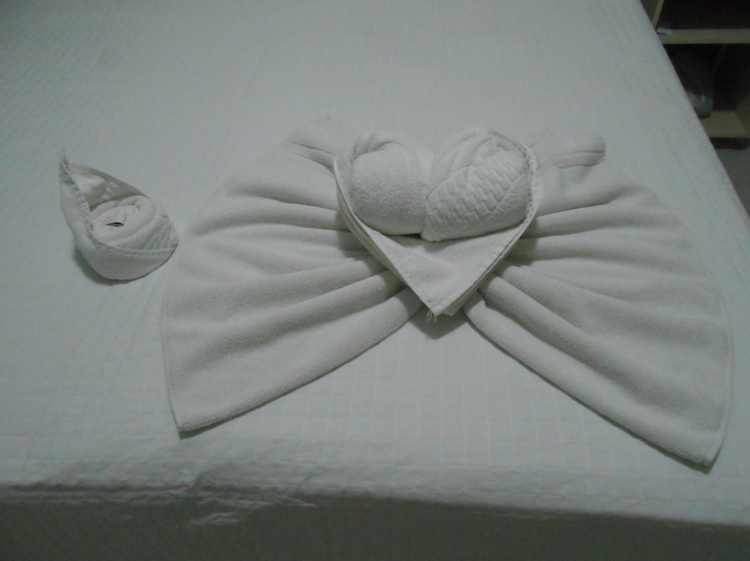 Das Nacoes Hotel主图