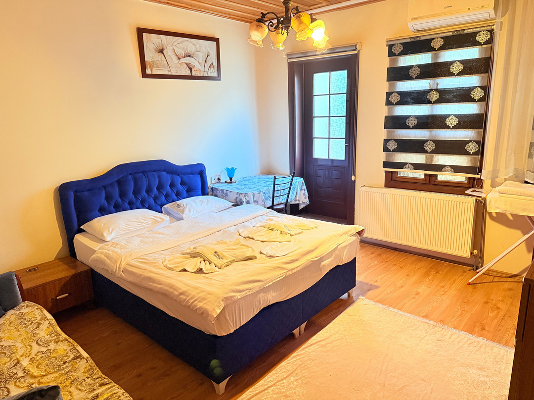 Oz Butik Otel Antik Kent Myrleia主图