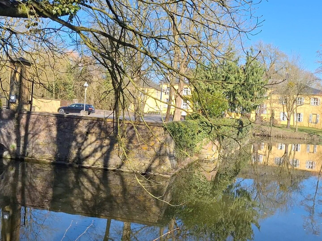 Schloss Crassenstein景点图片