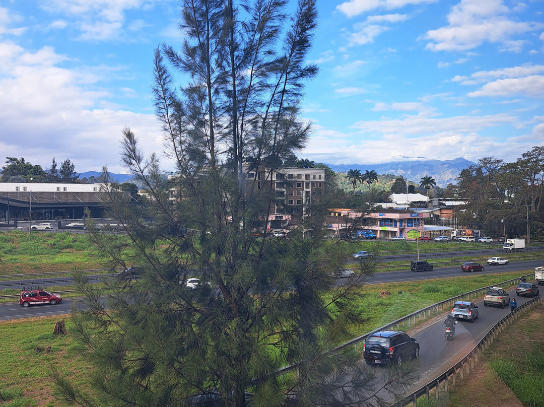 圣何塞皮纳雷斯凯悦广场酒店主图