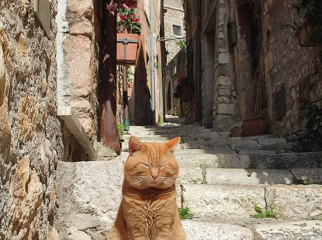 Borgo Di Sermoneta景点图片