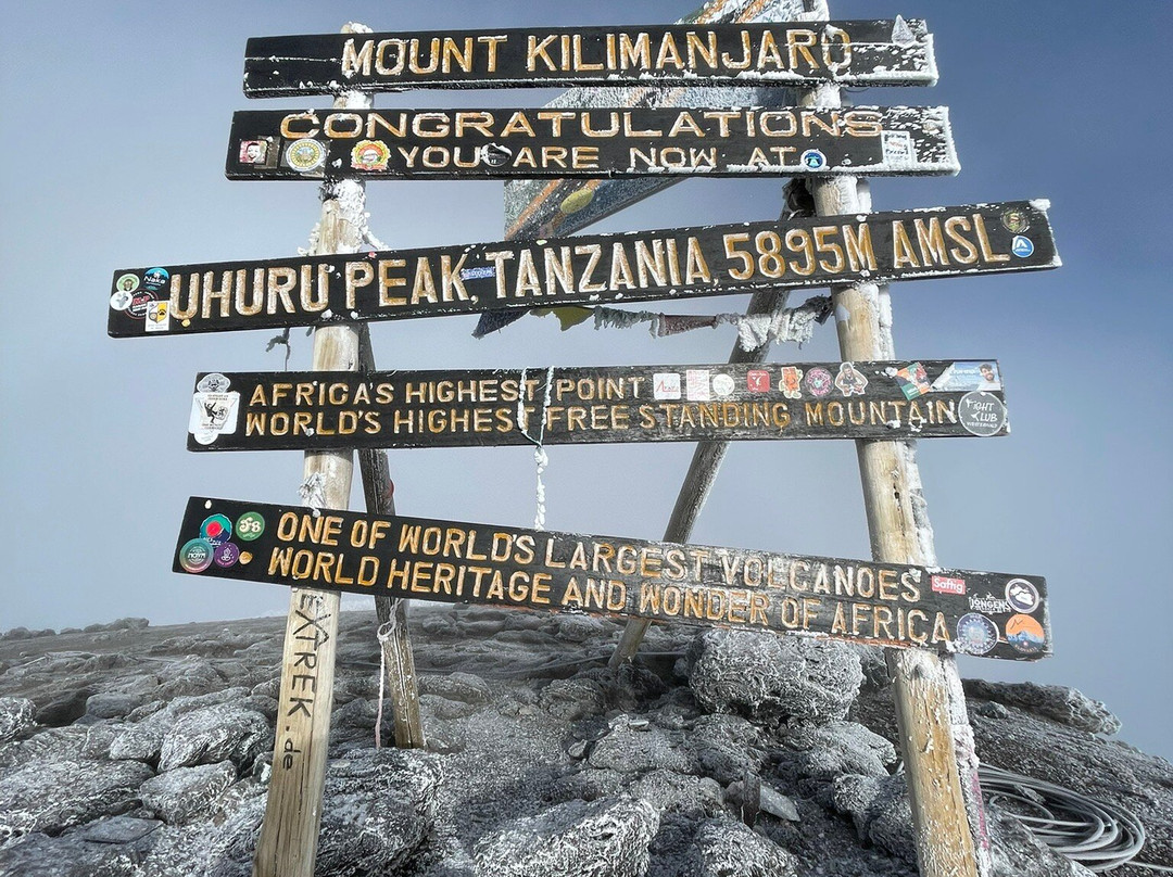 Trackless Wild.-阿鲁沙必去景点