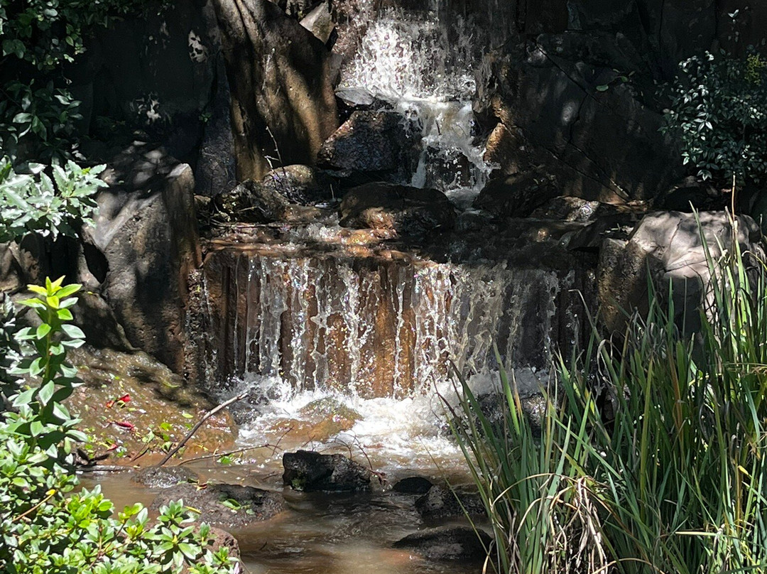 Japanese Garden-图沃柏必去景点
