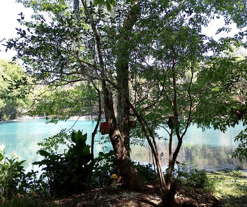 El Bosque de las Truchas景点图片