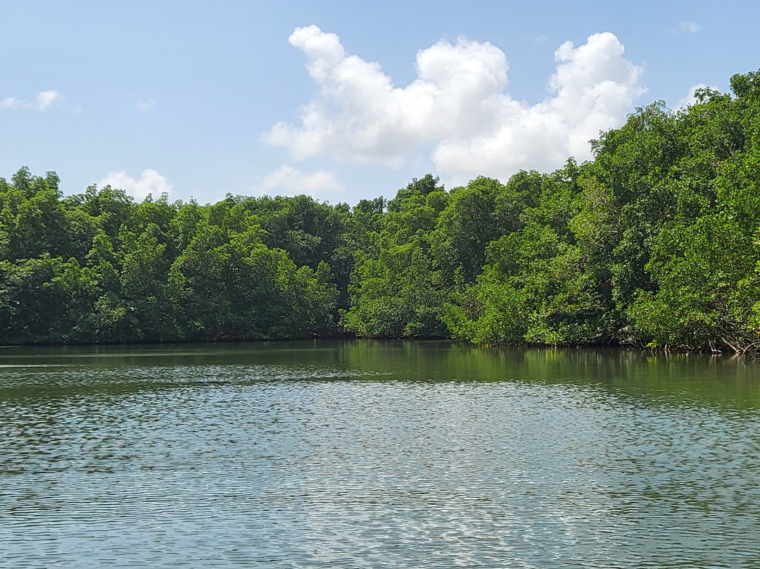 Gwada Gonflé-Petit-Bourg必去景点