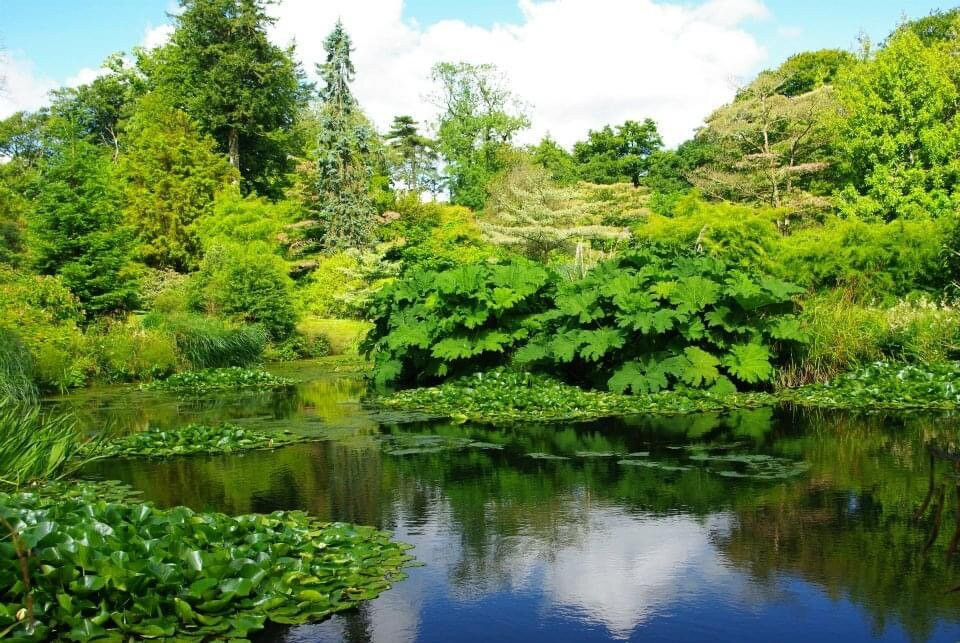 Fota House & Gardens-Fota Island必去景点