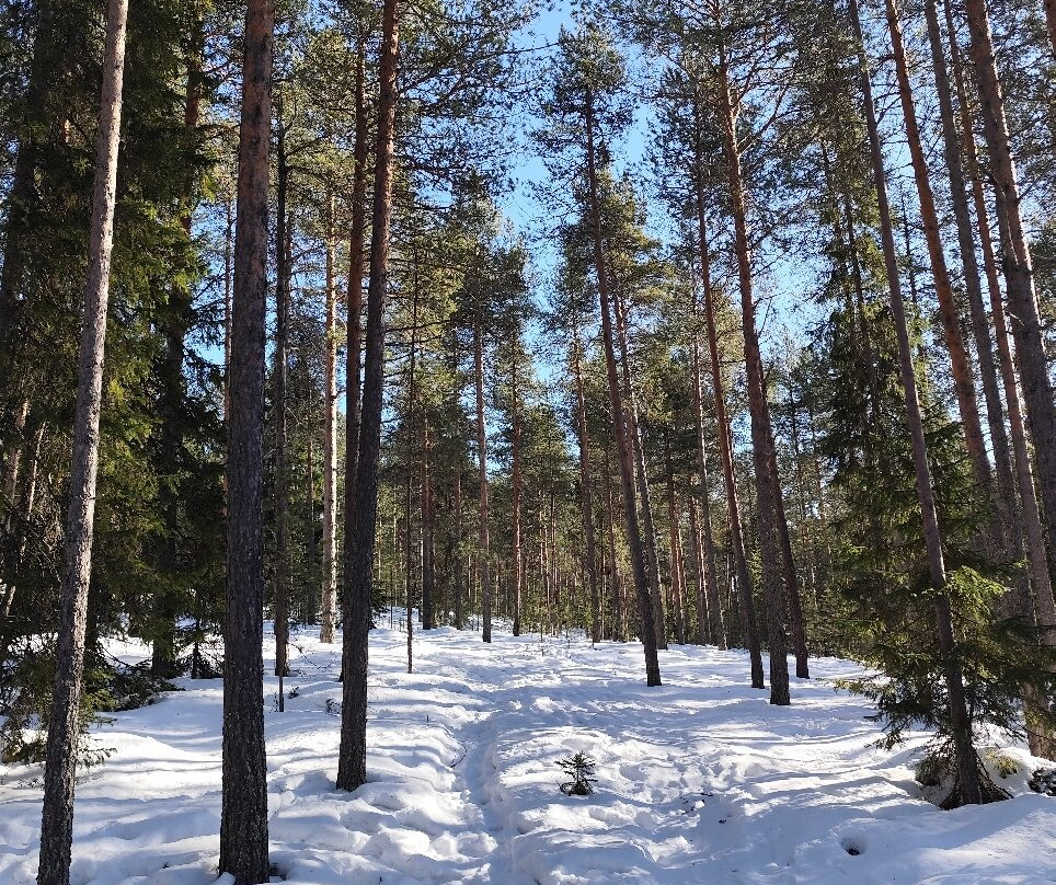 Ounasvaara Winter Trail-罗瓦涅米必去景点