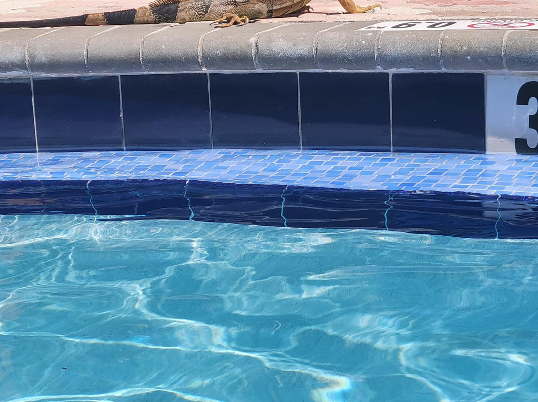 基拉戈假日酒店主图