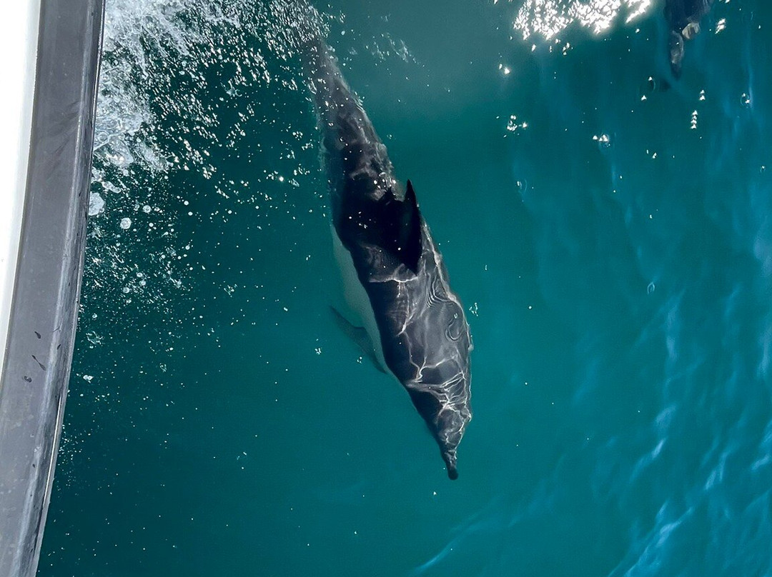 Ecomarine Algarve-法罗必去景点