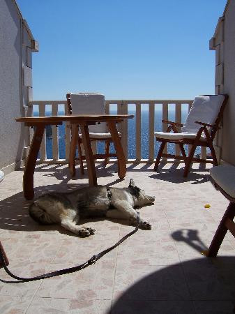 马里亚纳公寓主图