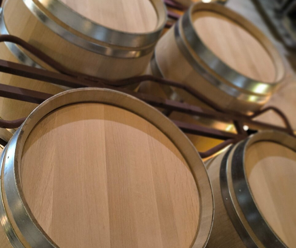 Bodegas Solar de Samaniego景点图片