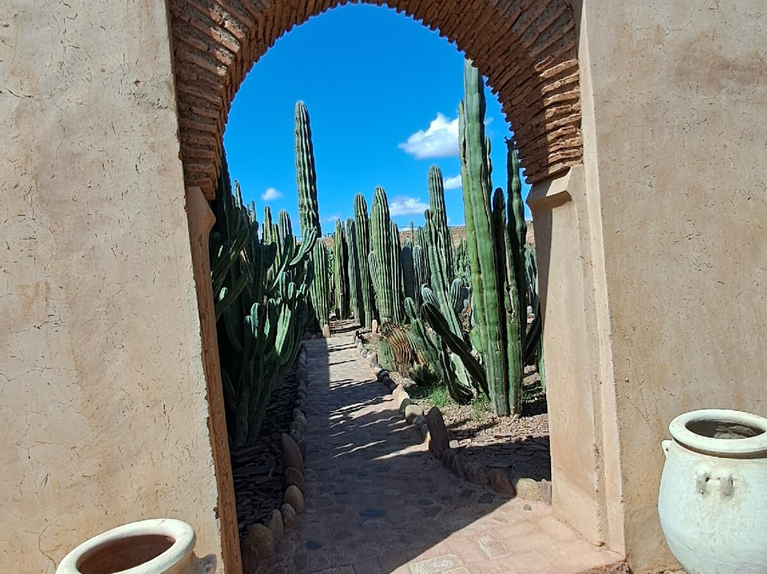 Musee de la Palmeraie-马拉喀什必去景点