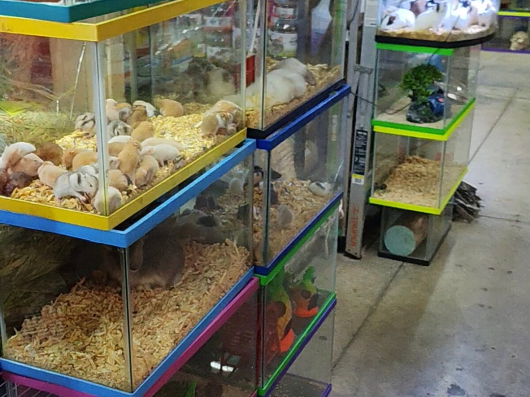 Mercado 20 De Noviembre-瓦哈卡必去景点