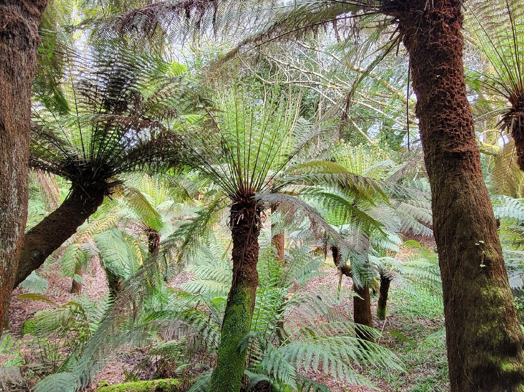 Trewidden Garden-Newlyn必去景点