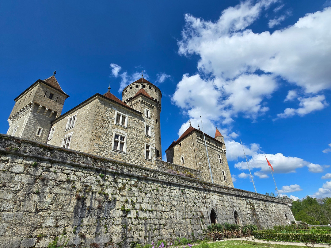 Chateau de Montrottier景点图片