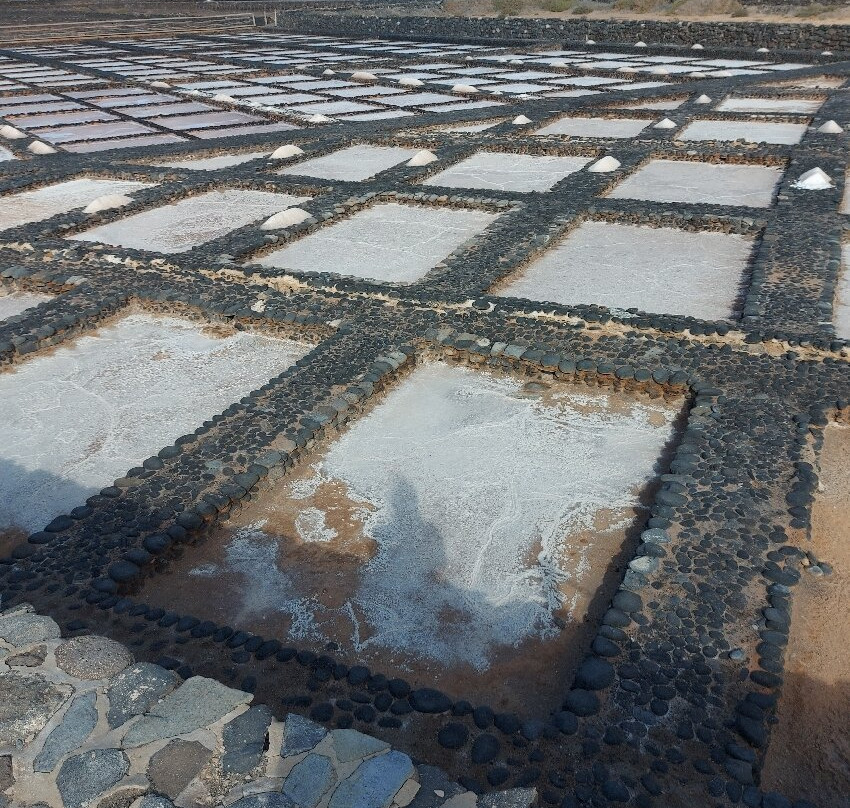 Museo de Las Salinas del Carmen景点图片