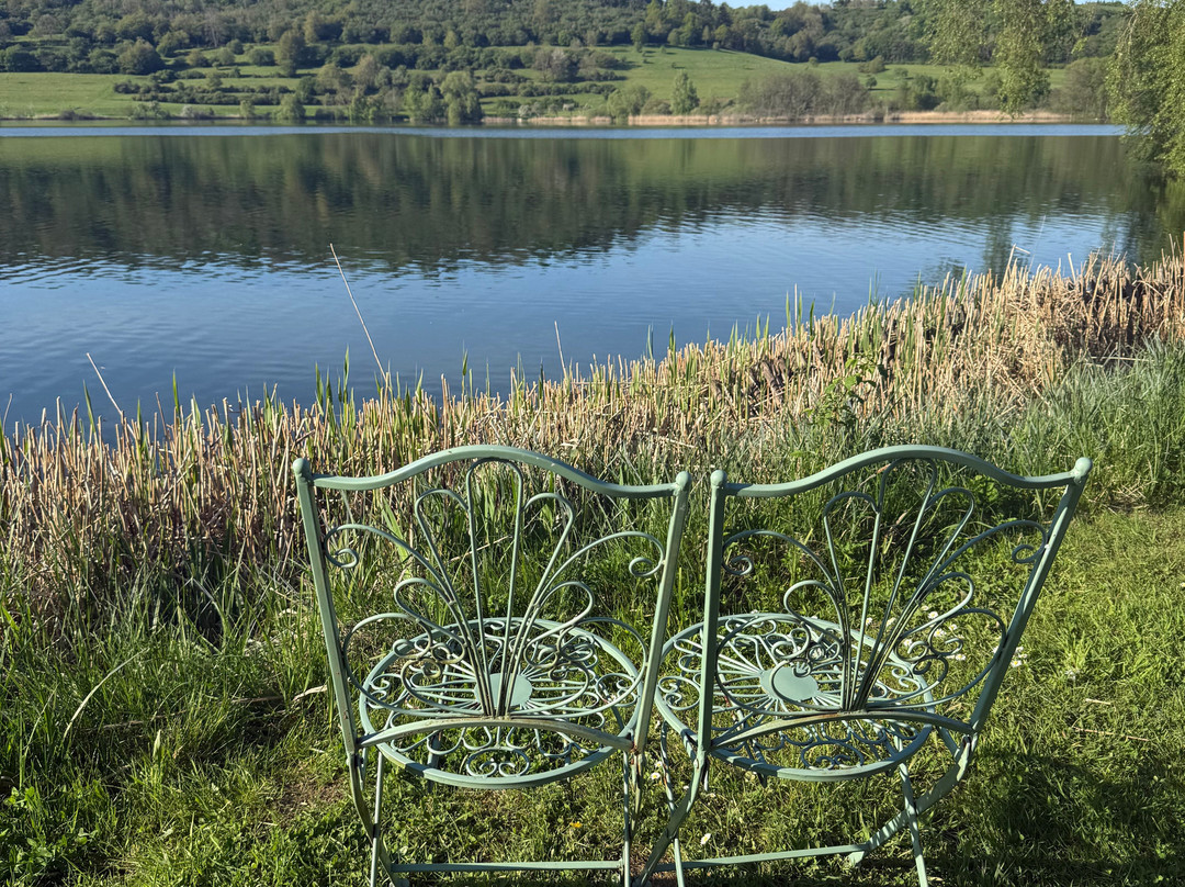 Hotel Schneider Am Maar Gmbh主图