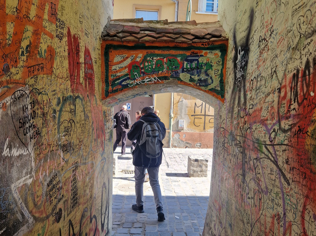Rope Street - Strada Sforii景点图片