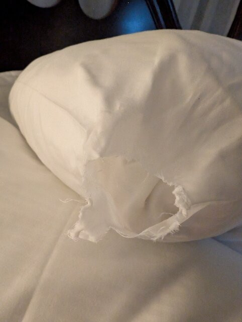 Simsbury 1820 House主图